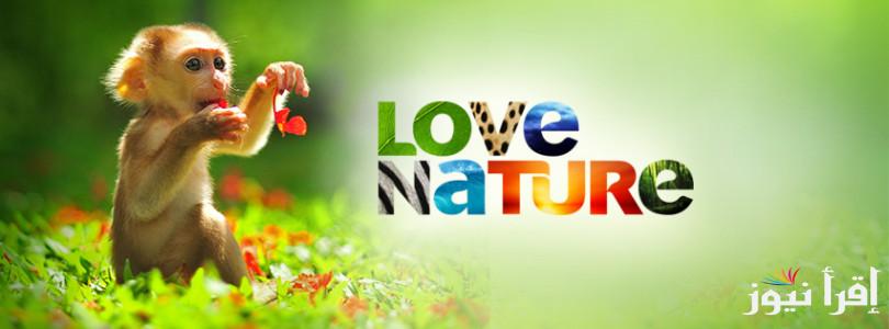 تردد قناة لوف نيتشر الجديد Love Nature 2025 على الأقمار الصناعية لأروع العروض عن الطبيعة والحيوانات