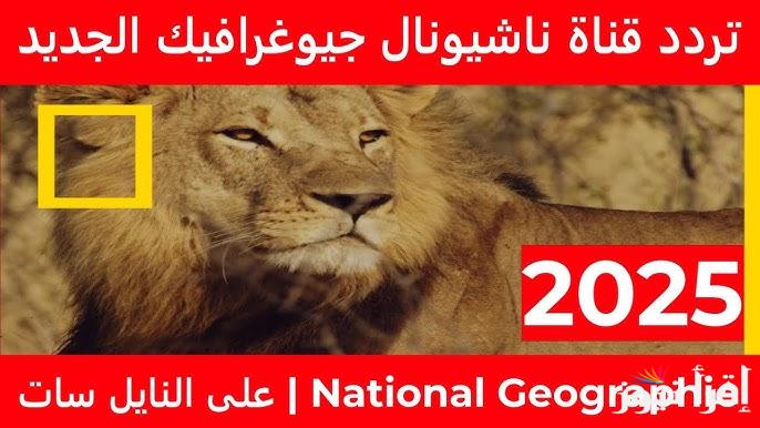 ” الطبيعة الخلابة ” تردد قناة ناشيونال جيوغرافيك 2025 National Geographic علي جميع الاقمار الصناعية