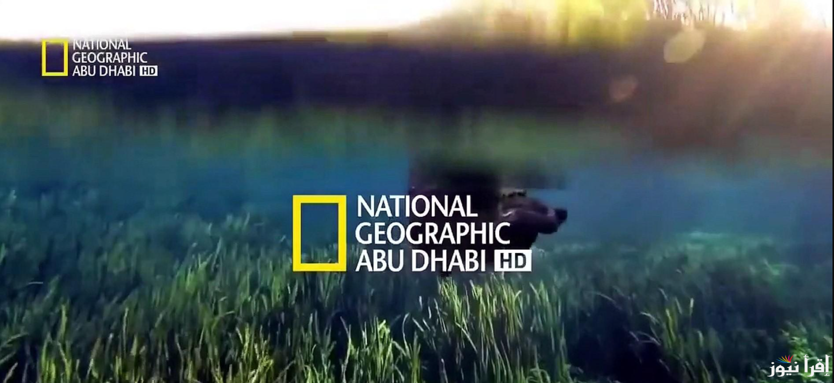 “عالم الحيوان في بيتك” تردد قناة ناشيونال جيوغرافيك 2025 National Geographic عبر الأقمار الصناعية المختلفة بجودة HD