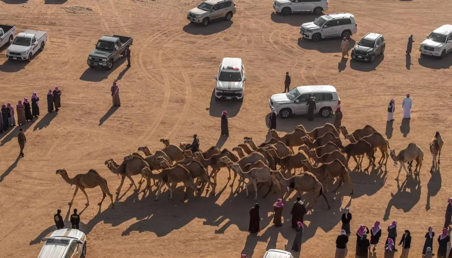 فعاليات المهرجان الجديد .. جائزة مسابقة منقية الجزيرة 2024 وكيفية التصويت وأهميته بالنسبة للمشجعين