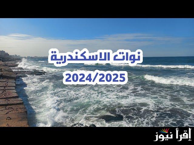 هيئة ميناء الإسكندرية تعلن .. جدول نوات الإسكندرية 2024 ومواعيدها في فبراير القادم
