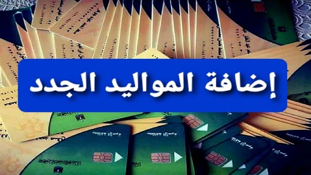 “دليلك الشامل” خطوات إضافة المواليد الجدد على بطاقة التموين في مصر 2024/2025 .. الشروط اللازمة والفئات المستحقة