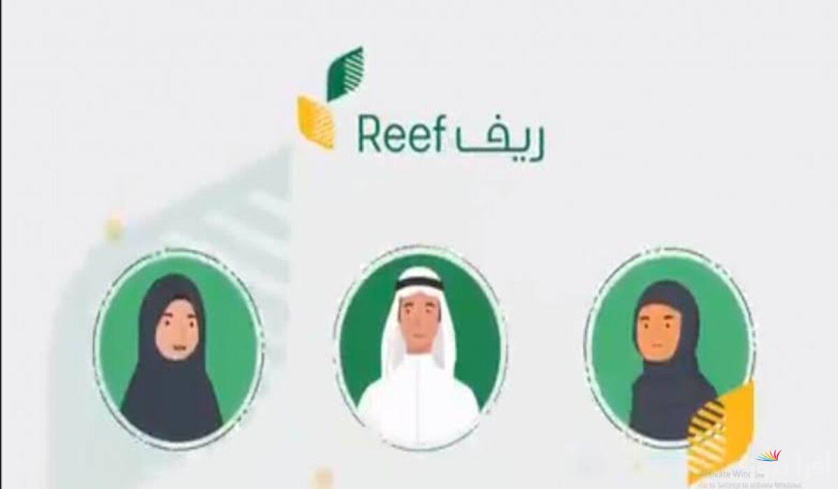 “متاح الآن” خطوات الاستعلام عن دعم ريف 1446 برقم الهوية وماهي الشروط المطلوبة