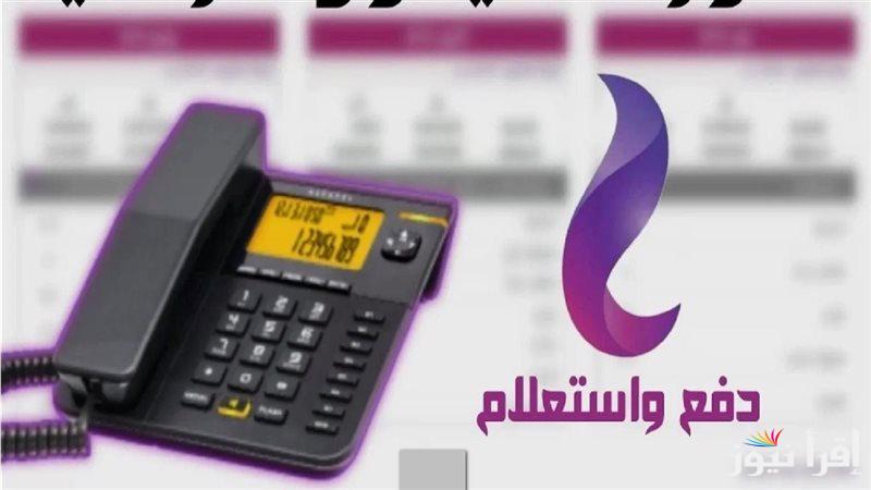 ادفع قبل ما يتحول.. رابط الاستعلام عن فاتورة التليفون الأرضي لشهر يناير 2025 عبر te.eg التابع لشركة المصرية للاتصلات