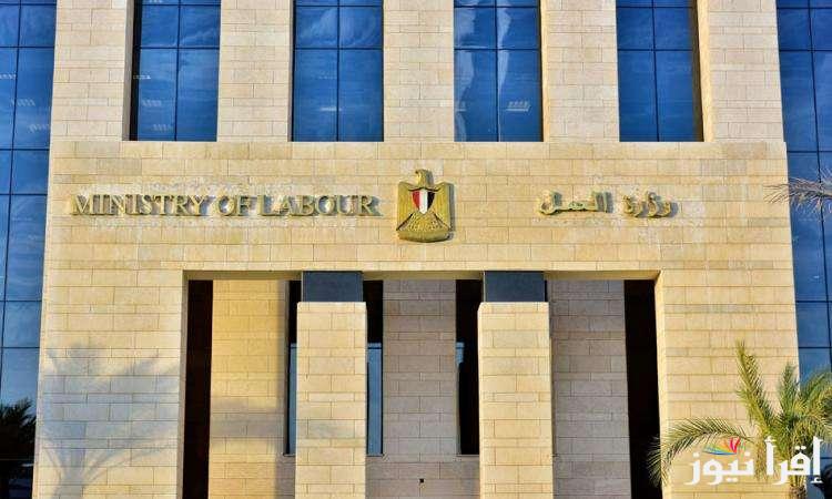 رابط التسجيل في منحة العمالة غير المنتظمة للحصول على 1000 جنيه 2025 وفقا لوزارة العمل
