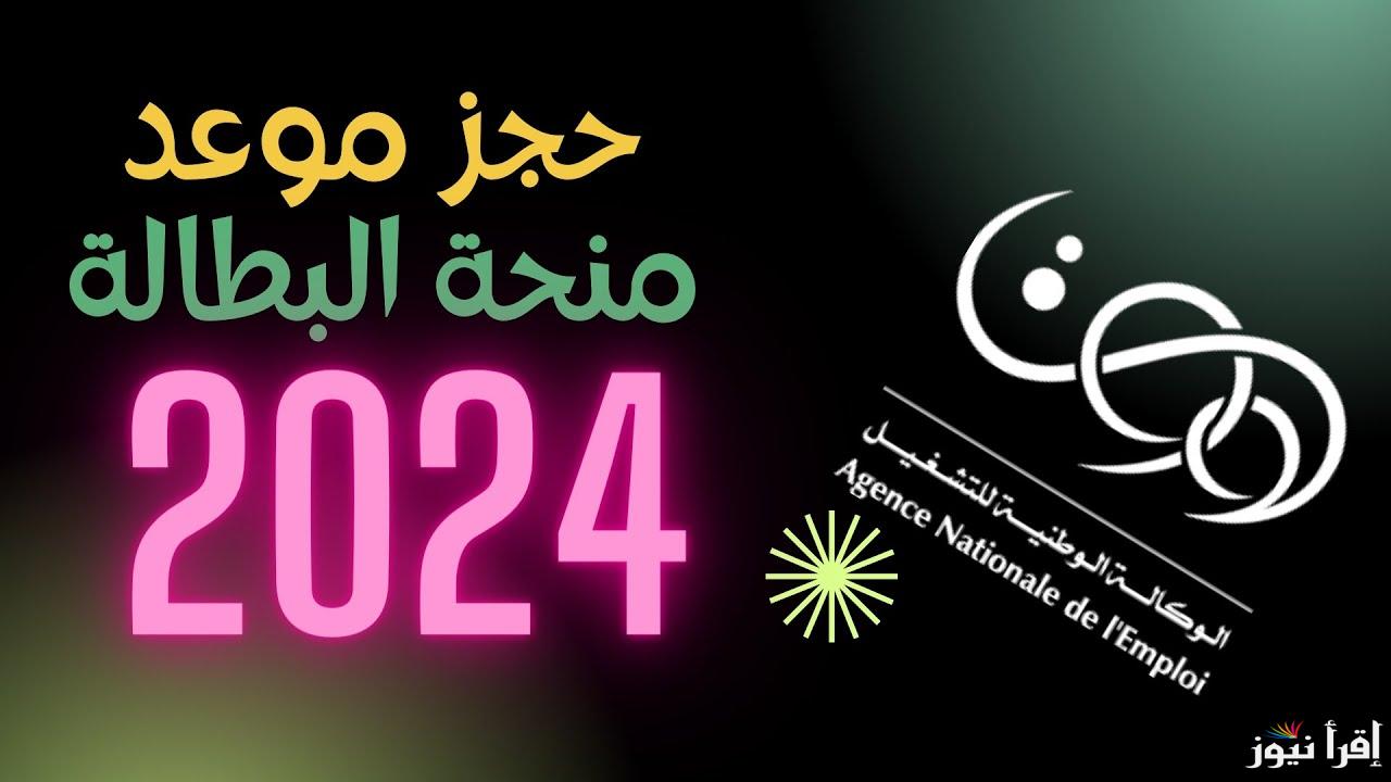 “ شغال الآن” رابط حجز موعد مقابلة منحة البطالة minha.anem.dz 2025 عبر موقع الوكالة الوطنية للتشغيل