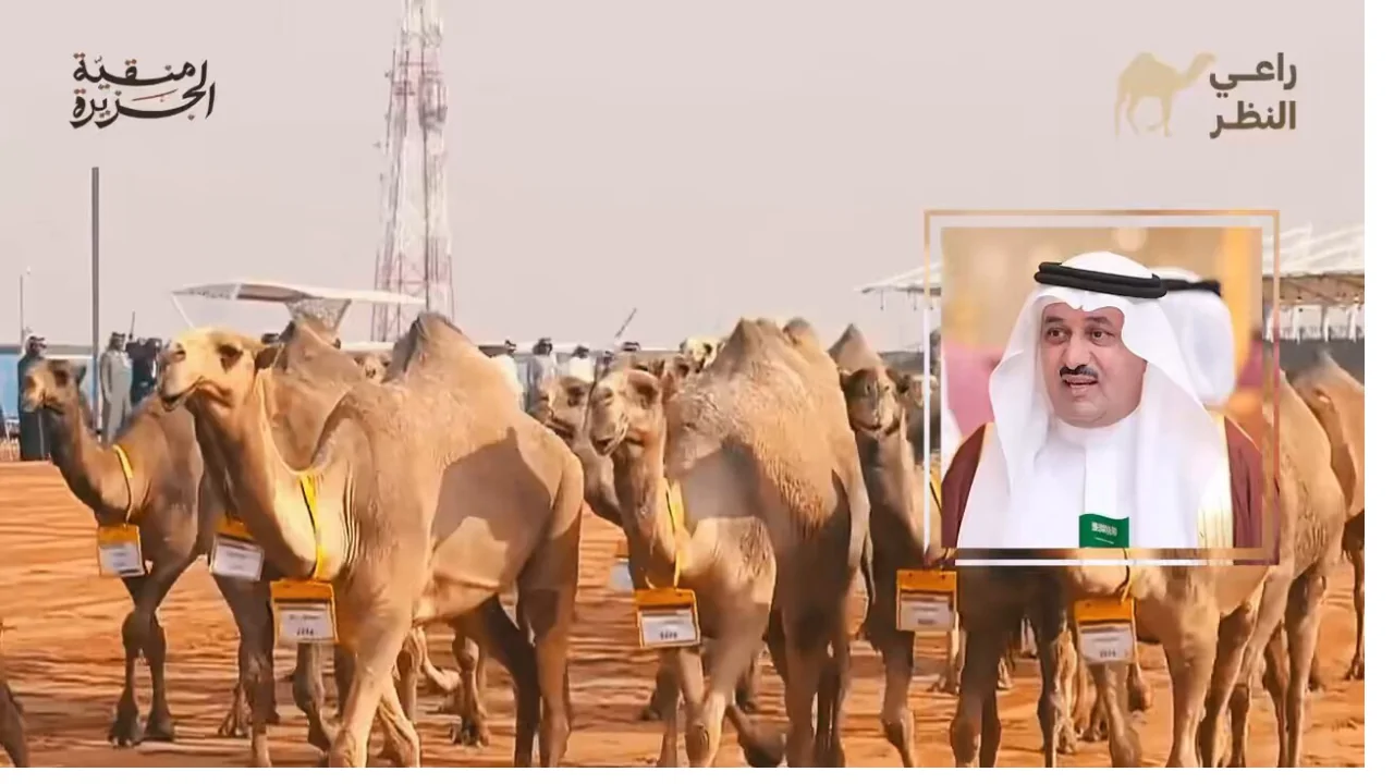 شارك الآن.. رابط تصويت الصياهد منقية الجزيرة 2024 عبر منصة راعي النظر raialnadhar.com