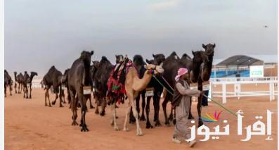 هنـــا .. رابط تصويت الصياهد لمسابقة منقية الجزيرة العربية 1446/2025 ضمن فاعليات مهرجان الملك عبد العزيز للإبل