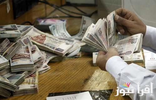 رفع الحد الأدنى للمعاشات وموعد وأماكن صرف معاشات يناير 2025 واكتشاف الشرائح التأمينية بعد التعديل الجديد