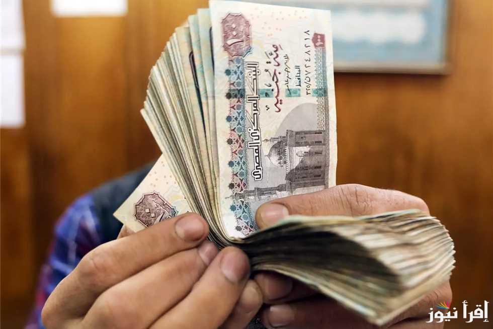 بشري للاصحاب المعاشات … تفاصيل زيادة المعاشات الجديدة وفقاً لبيان مجلس الوزراء