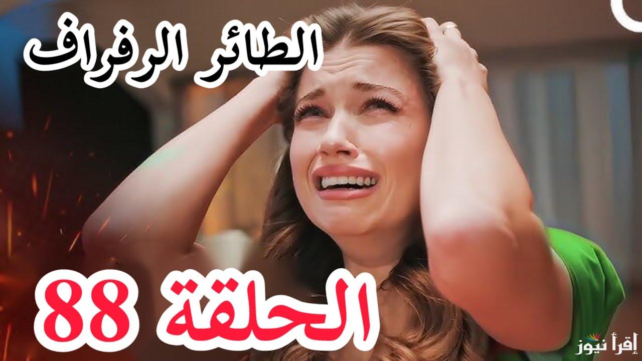 “مفاجآت غير متوقعة” مسلسل الطائر الرفراف الحلقة 88 Yalı Çapkını بجودة عالية علي قناة ستار تي في التركية