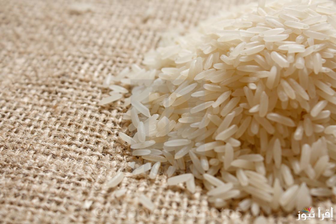 “طن الحبة العريضة بكام ؟” سعر طن الأرز الشعير اليوم الاثنين 30 ديسمبر 2024 داخل الأسواق المصرية