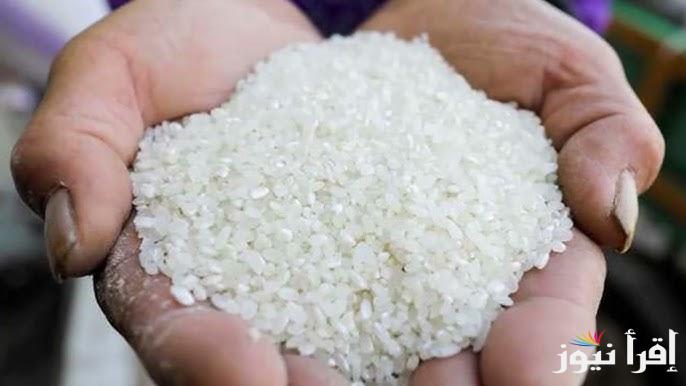 تحرك سعر طن الأرز الشعير اليوم الخميس 26 ديسمبر 2024 في كافة الأسواق المصرية