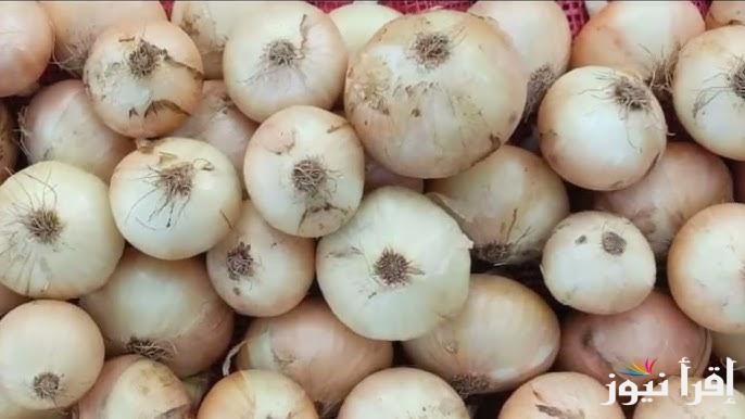 كيلو البصل بكام؟ أسعار البصل الآن وأسعار الخضروات في سوق العبور والأسواق المحلية