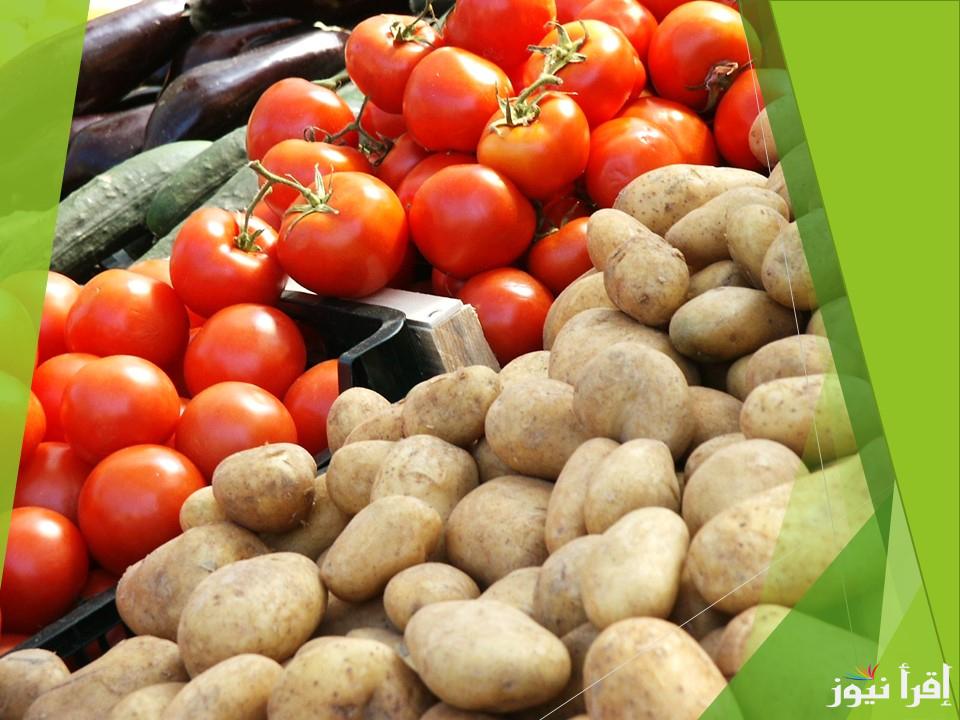 بكام النهاردة ؟ .. سعر البطاطس والطماطم اليوم 5 ديسمبر 2024 في سوق العبور