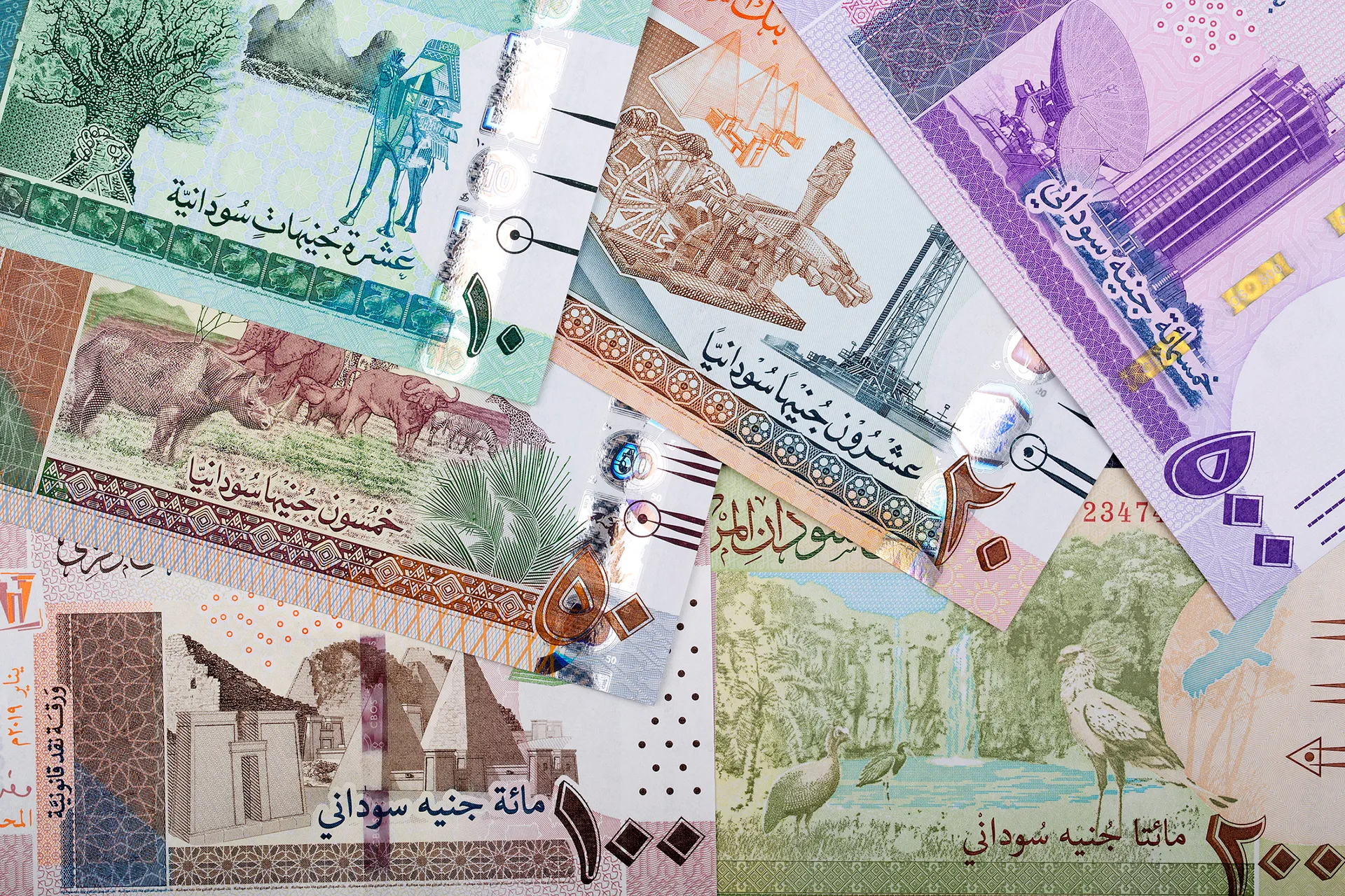 “التحديث الأخير” سعر الجنية السوداني مقابل الجنية المصري اليوم الاثنين 23 ديسمبر 2024