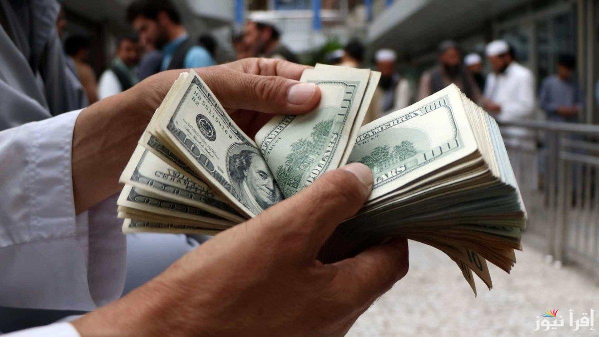 الدولار يتراجع إلي51.9 جنيه .. سعر الدولار اليوم في السوق السوداء الإثنين 23 ديسمبر 2024 والبنوك