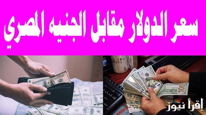” الأخضر يرتفع من جديد “سعر الدولار اليوم مقابل الجنيه المصرى السبت 28 ديسمبر 2024