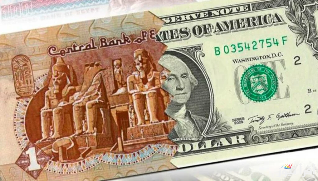 “الأخضر قادم للـ 60” سعر الدولار اليوم مقابل الجنيه المصري الاثنين 16 ديسمبر 2024 في البنوك المصرية والسوق السوداء