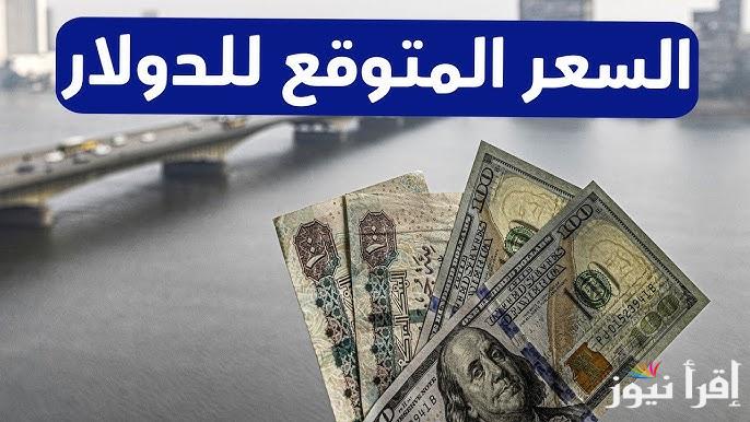 هتعرف تستثمر تحويل 300 دولار كم جنيه مصري اليوم في السوق السوداء؟ سعر الدولار اليوم الاحد 1 ديسمبر لعام 2024