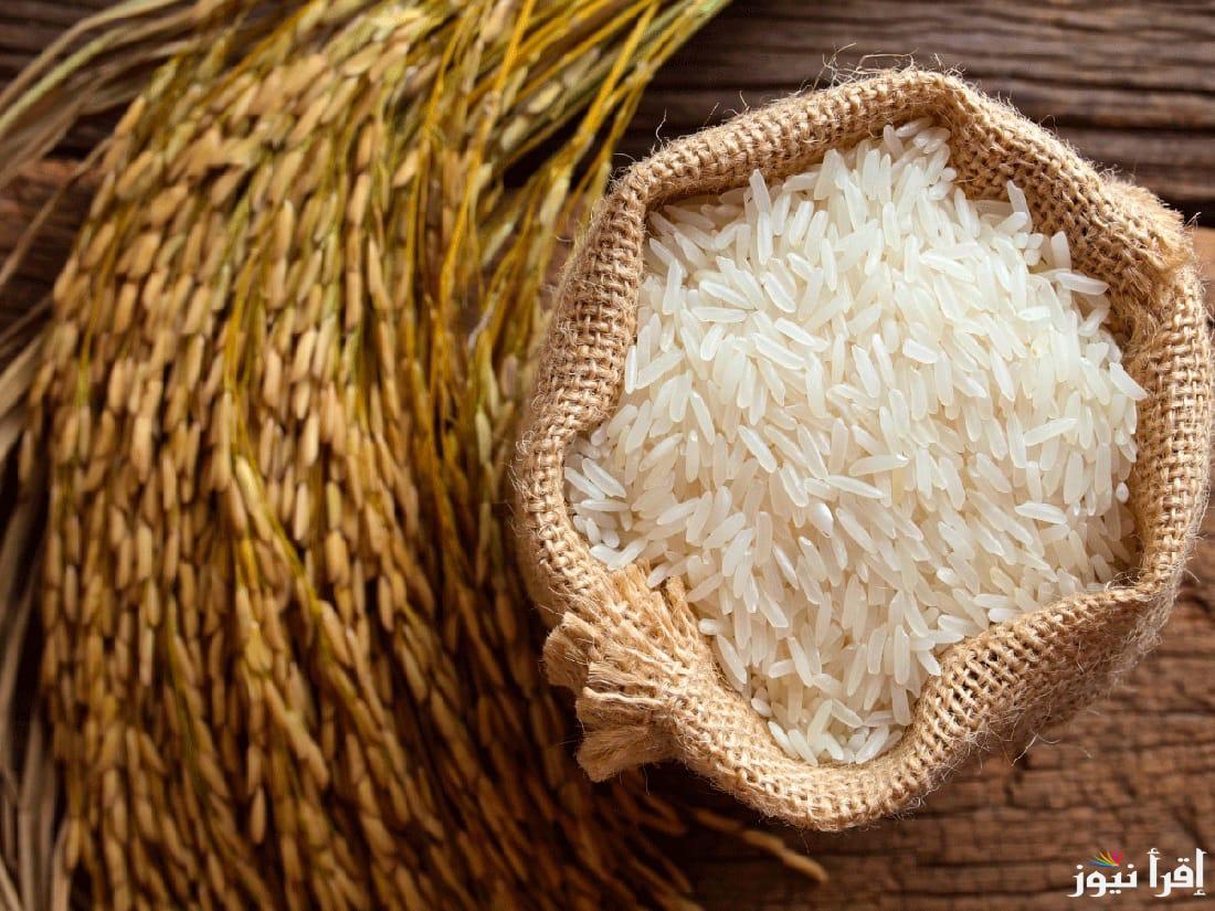 “الحبة العريضة بكام؟” سعر طن الأرز الشعير اليوم السبت 21 ديسمبر 2024 في الأسواق