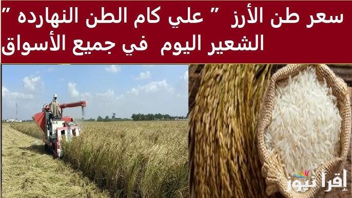 “الاردب بكام” سعر طن الأرز الشعير اليوم الاثنين 23 ديسمبر 2024 في الاسواق المحلية للسلع الغذائية