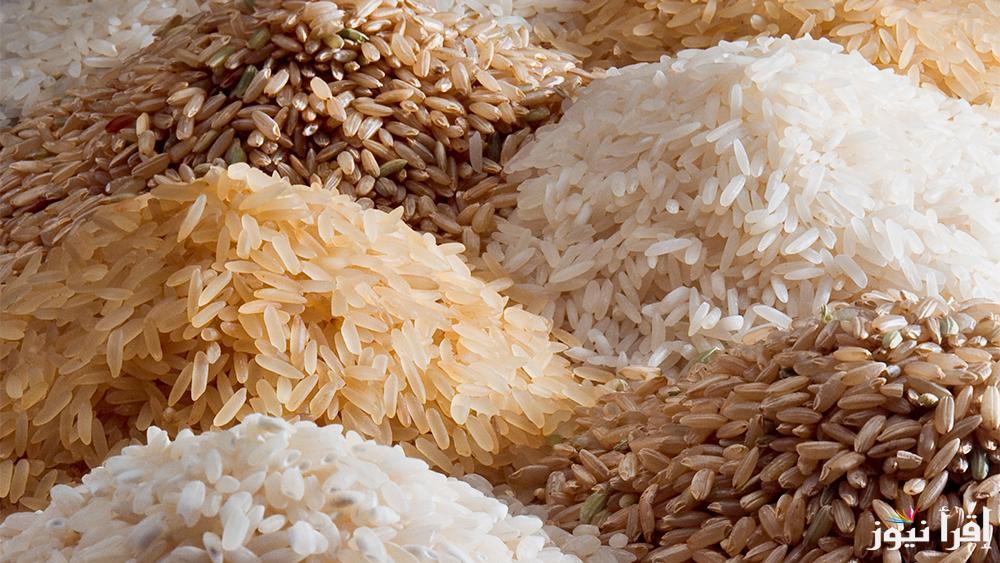 “رفيع وعريض الحبة بكام” سعر طن الأرز الشعير اليوم الثلاثاء 24 ديسمبر 2024 داخل كافة الأسواق