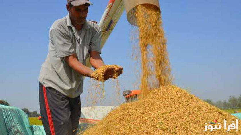 يقي من السكري .. سعر طن الأرز الشعير اليوم والأرز الأبيض الأربعاء 25 ديسمبر 2024 في الأسواق وأسعار السلع الغذائية