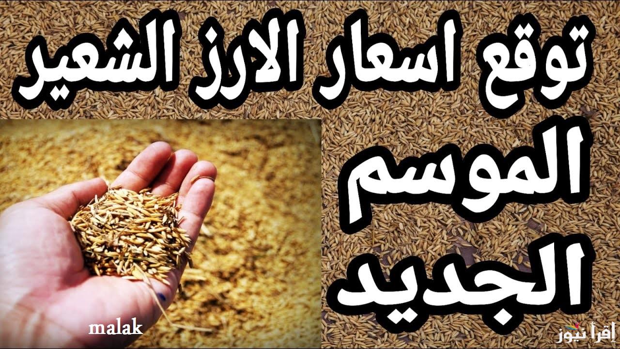 “خزني قبل رمضان” سعر طن الأرز الشعير اليوم الجمعة 6-12-2024 في الأسواق