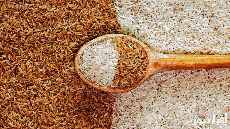 الحبة العريضة بقت بـ 17 ألف.. سعر طن الأرز الشعير اليوم الثلاثاء 31 ديسمبر 2024 في الاسواق المصرية