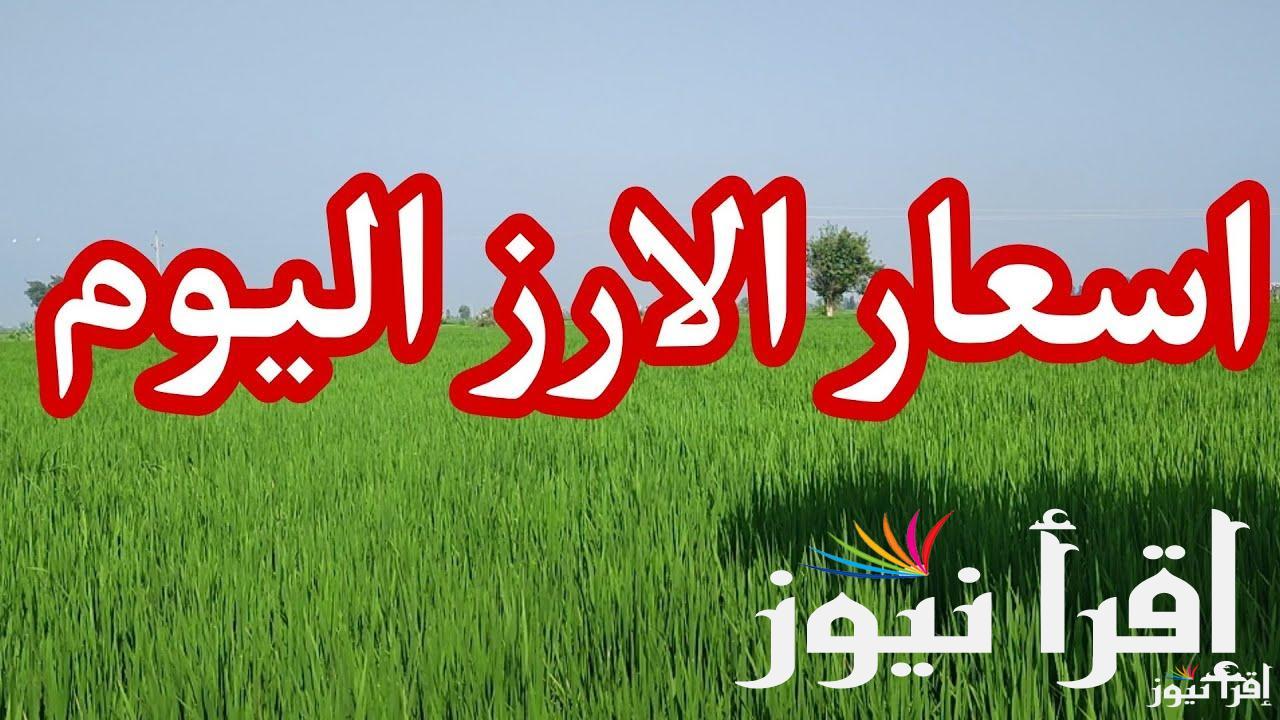 الطن وصل كام ؟.. سعر طن الأرز الشعير اليوم الخميس 12 ديسمبر 2024 والسلع الغذائية في الاسواق المصرية