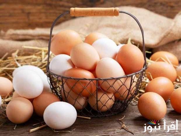 “البيضة بـ5ج” سعر كرتونة البيض اليوم الأحد 15/12/2024 حسب ما أعلنت بورصة الدواجن للتجار والمُستهلكين