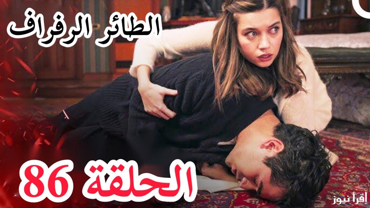 Yalı Çapkını : مسلسل طائر الرفراف الحلقة 86 على تردد ستار tv التركية