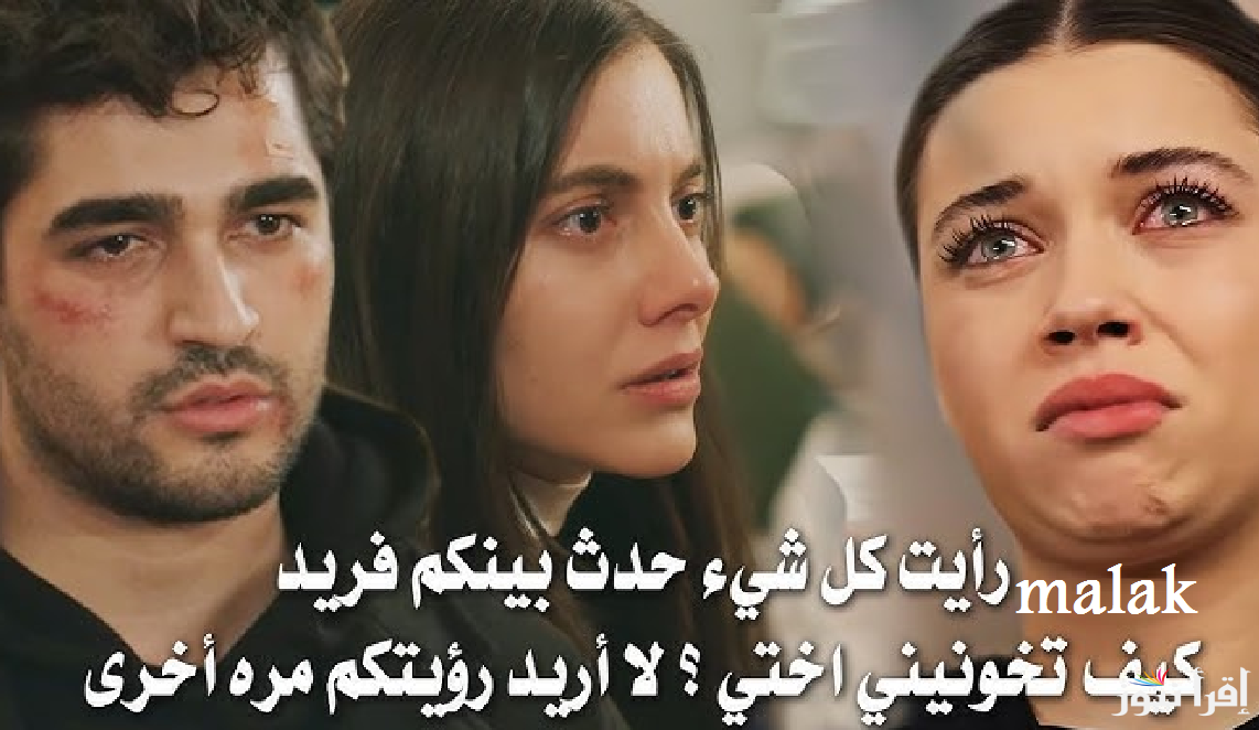 “خيانة فريد وسونا” مسلسل طائر الرفراف الحلقة 90 الموسم 3 على ستار تي في التركية