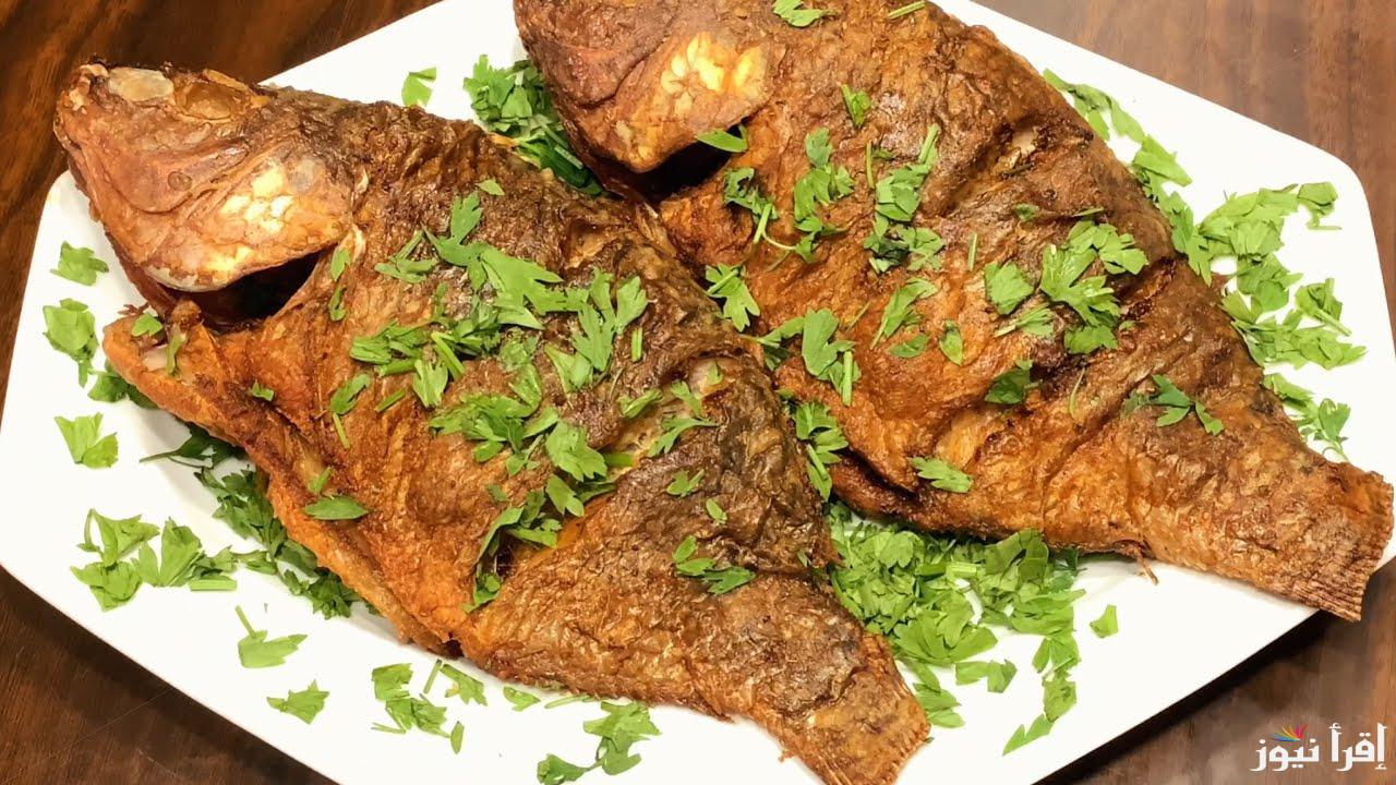 وصفه سهله وسريعة .. طريقه عمل السمك البلطى المقلى والأرز بالبصل