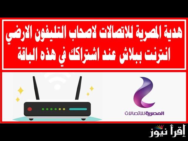 نت ببلاش .. عرض جديد من المصرية للاتصالات لعملاء we والحصول علي 200 جيجا لمدة 3 شهور مجانا