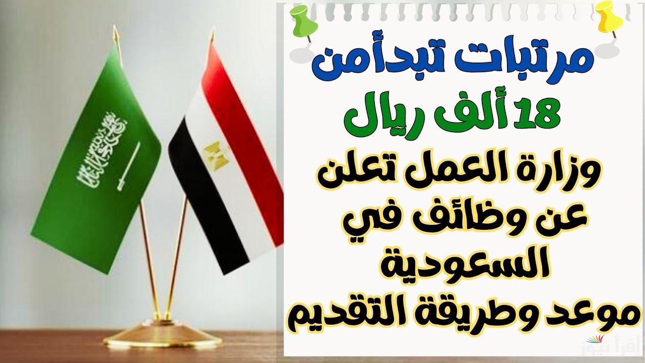 ” الحق وظيفتك ” فرص العمل الشاغرة بالسعودية 2024 بمرتبات تصل إلى 15 ألف ريال في التخصصات المختلفة