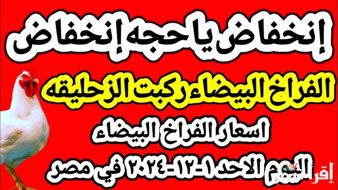 كيلو البانية بكام ؟بورصة الدواجن اليوم أسعار الفراخ البيضاء الأحد 1 ديسمبر 2024 وأسعار البيض البلدي