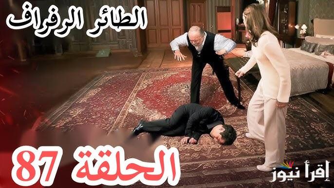 “فريد يفقد الوعي” مسلسل الطائر الرفراف الحلقة 87 Yalı Çapkını | وموعد العرض من خلال قناة STAR TV التركية و MBC4