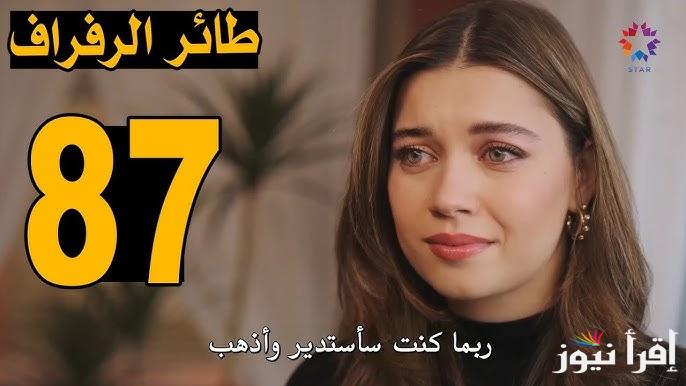 الآن مسلسل الطائر الرفراف الحلقة 87 Yalı Çapkını | موقع قصة عشق