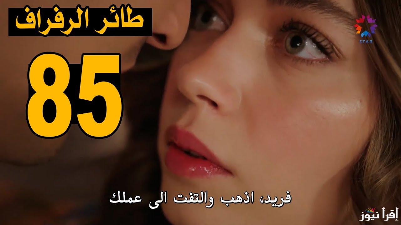 فريد هيرجع لـ سيران .. مسلسل طائر الرفراف الحلقة 85 Yalı Çapkını الموسم الثالث والقنوات الناقلة إليه