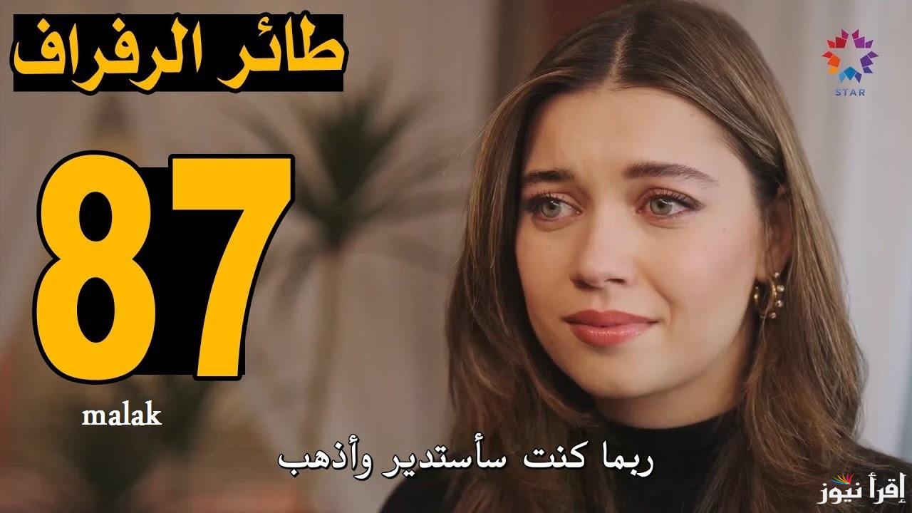 مسلسل طائر الرفراف الحلقة 87 الموسم 3 على قناة ستار تي في التركية