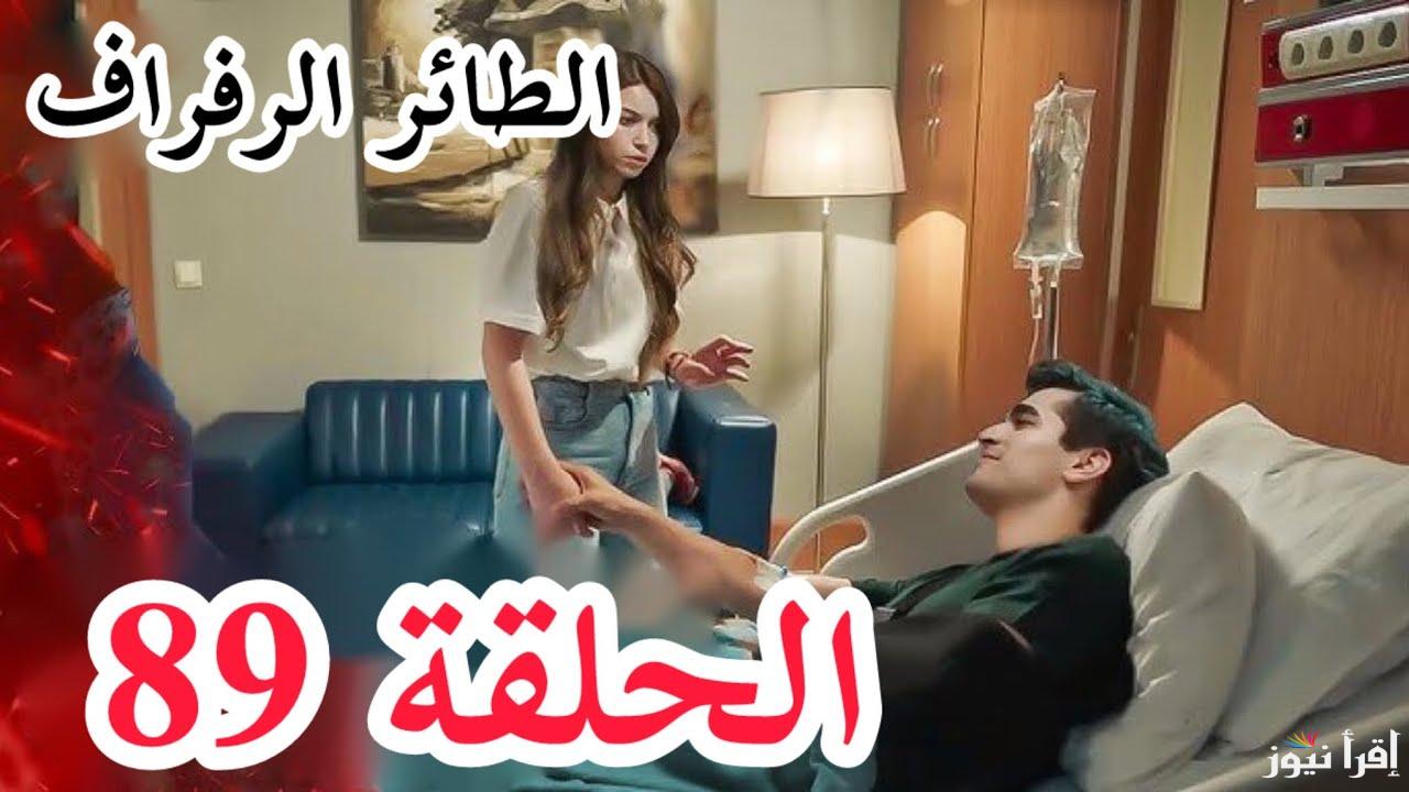“تطورات جديدة” مسلسل طائر الرفراف الحلقة 89 Yalı Çapkını أحداث شيقة وتفاصيل العرض وأماكن المتابعة