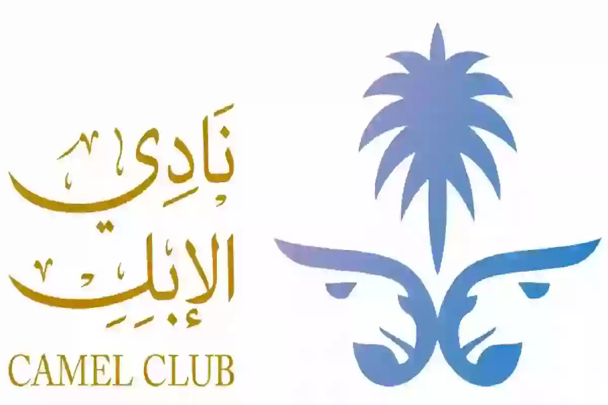 آليات مسابقة منقية الجزيرة منصة راعي النظر 1446 raialnadhar موقع التصويت بالأدوار النهائية