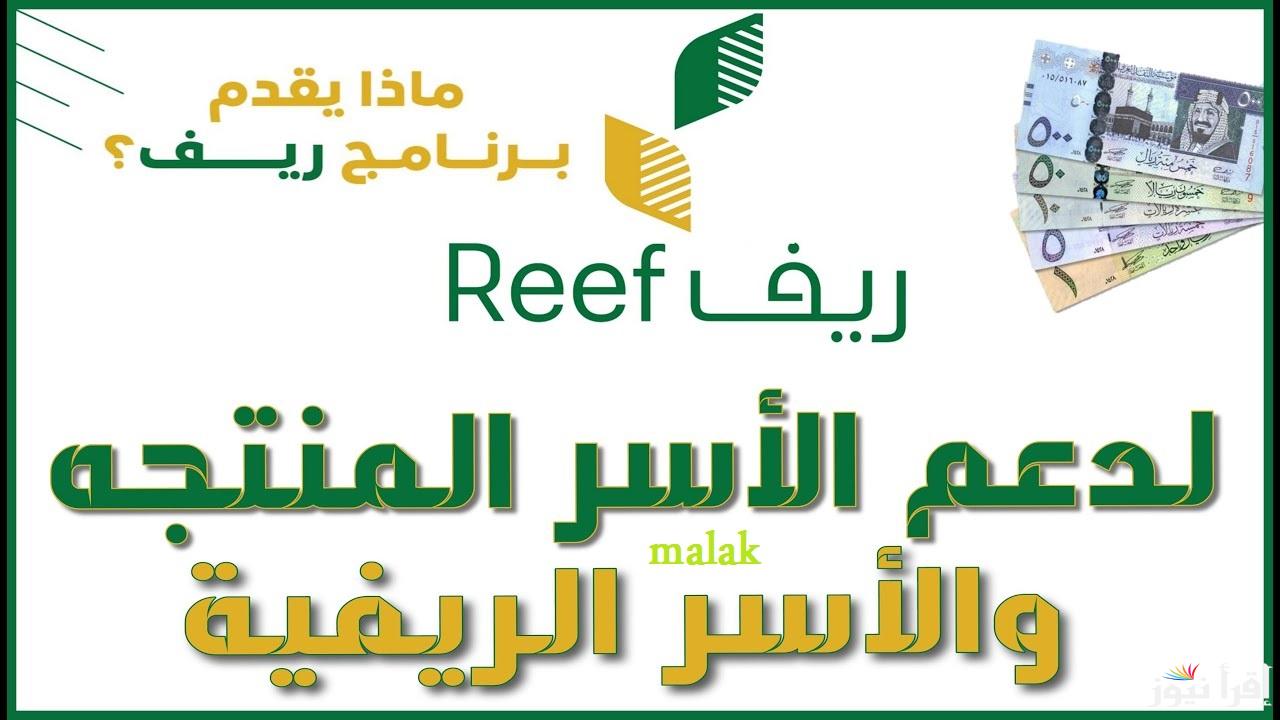 موعد صرف دعم ريف لشهر يناير 2025 وخطوات الاستعلام