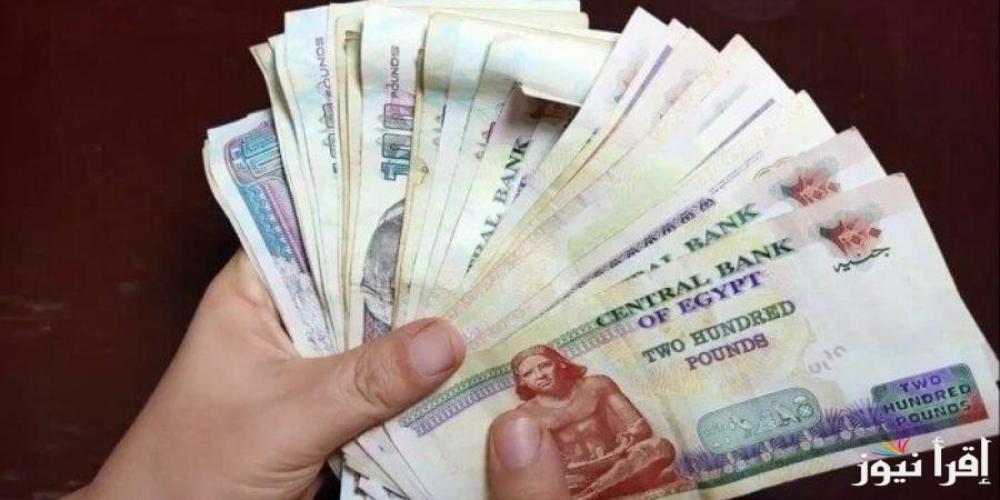 هتقبض كام؟ … موعد صرف معاشات يناير 2025 وشروط الحصول علي سلفة من البريد المصري وخطوات الاستعلام عبر nosi.gov.eg