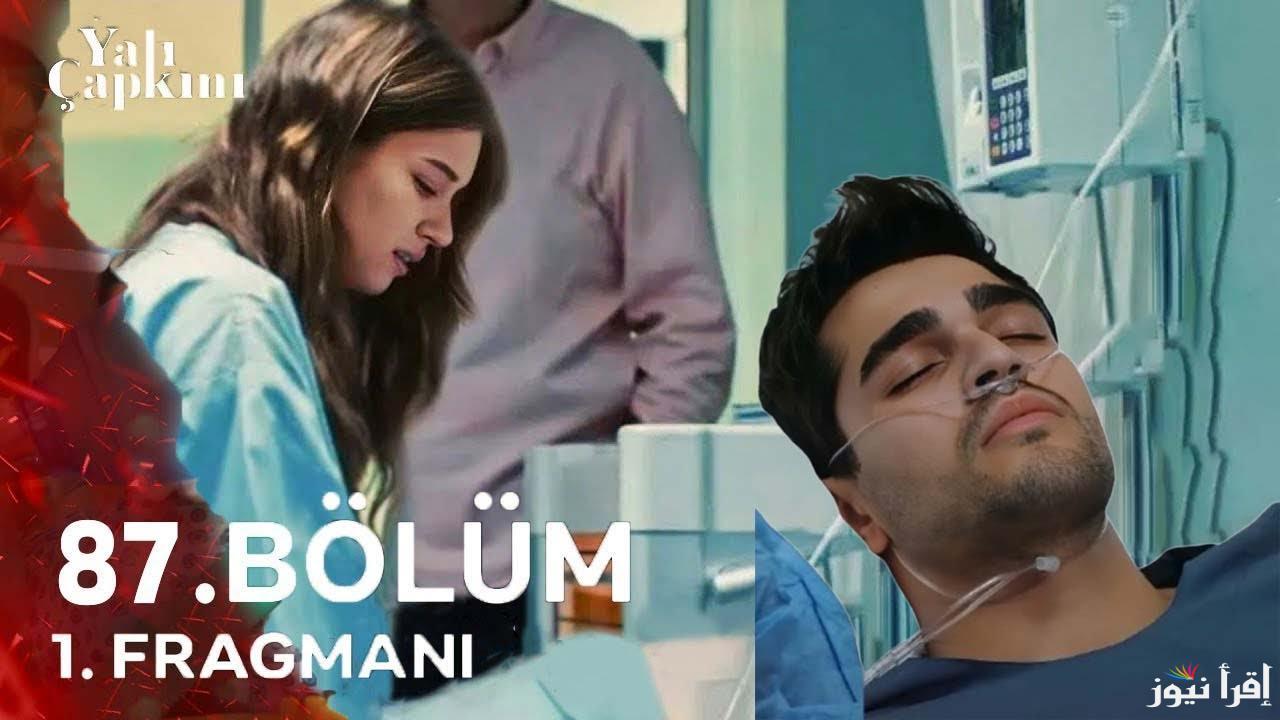 “الان” موعد اعلان مسلسل الطائر الرفراف الحلقة 87 الموسم الثالث والقنوات الناقلة مجانا
