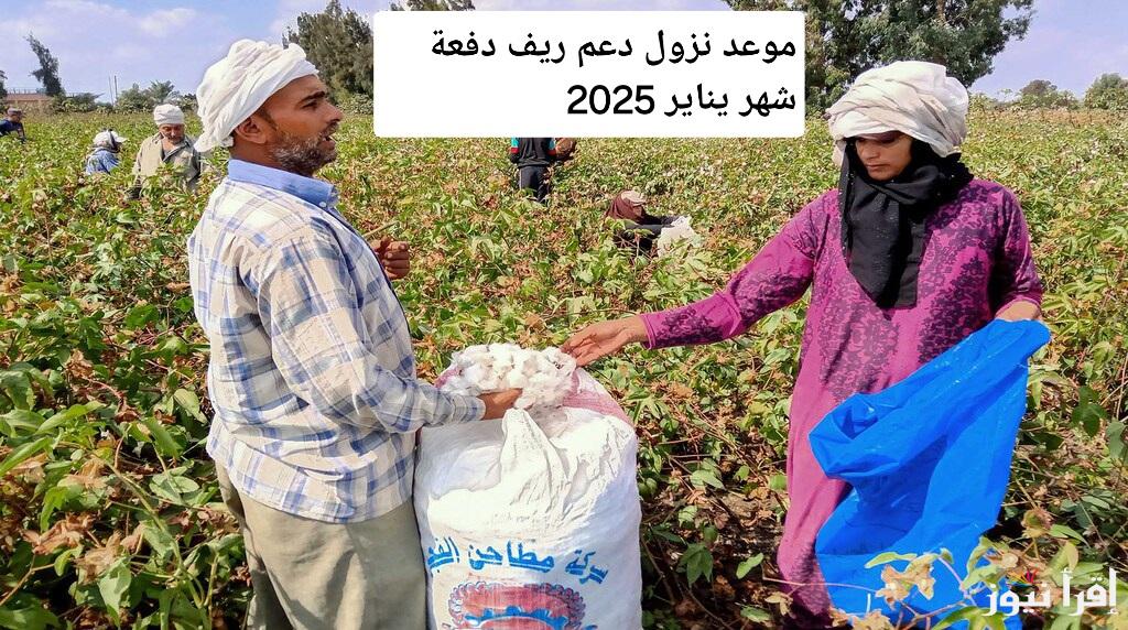 أخبار سارة للفلاحين.. موعد نزول دعم ريف دفعة شهر يناير 2025 وكيفية الاستعلام وأهم الشروط