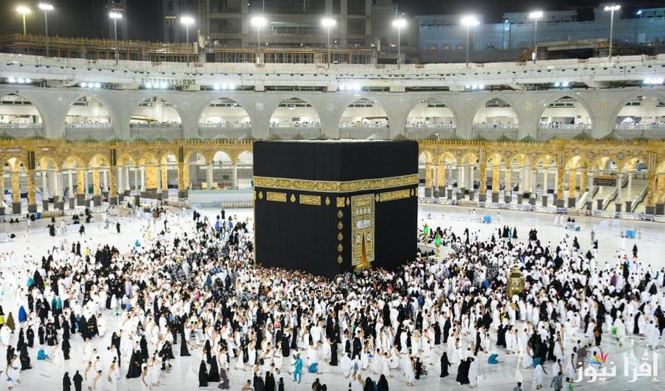 apply_to_hajj الاستعلام عن نتيجة قرعة الحج السياحي 2025 حج السياحة رابط البوابة المصرية الموحدة للحج