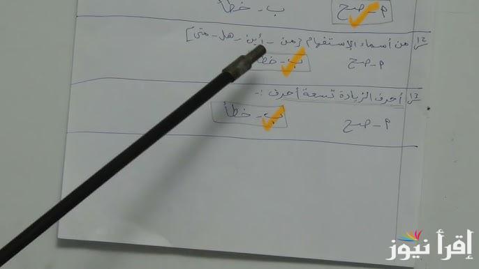 “نماذج لكل المواد” نماذج امتحانات الترم الأول للشهادة الإعدادية شاملة وموعد الأمتحانات وفقا لوزارة التربية والتعليم